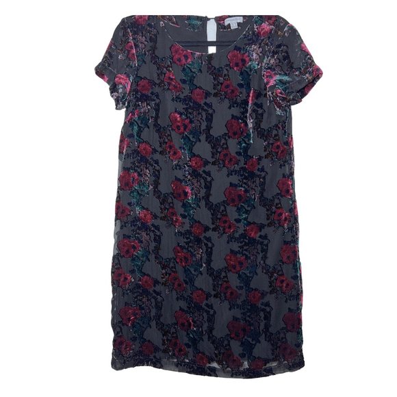 Carolina Belle Dresses & Skirts - Carolina Belle Floral Velvet Embroidered Shift Dress‎